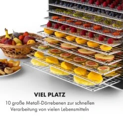 Fruit Jerky Steel 10 Dörrautomat -Klarstein 10028437 de 0004 logo
