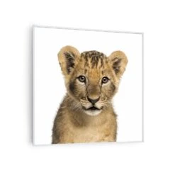 [Wiederverpackt] Wonderwall Air Art Smart Infrarotheizung Mit Bild Löwe