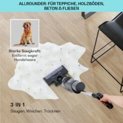 Caswell Plus Nass-/Trockensauger -Klarstein 10041383 de 0004 usp 1