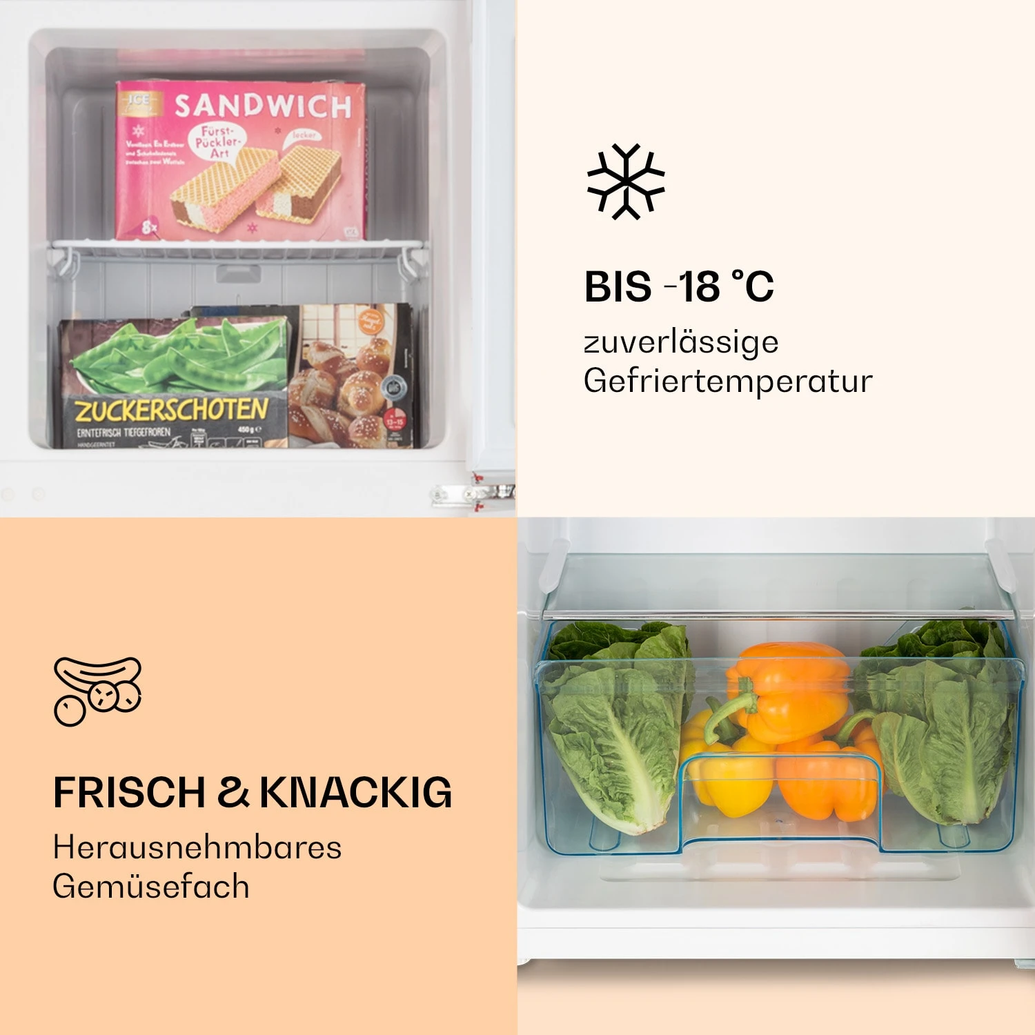 Audrey Kühl- & Gefrierkombination 4 Audrey Kühl- & Gefrierkombination – Bild 4